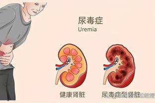 新利体育官网登陆入口网址查询